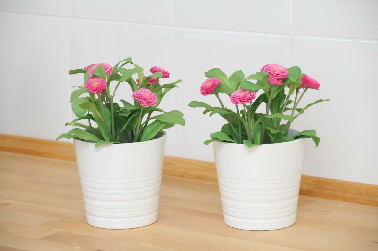 Apartamento Limon מורסיה מראה חיצוני תמונה