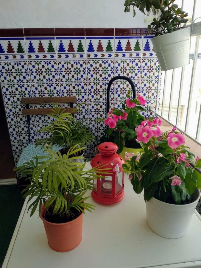Apartamento Limon מורסיה מראה חיצוני תמונה